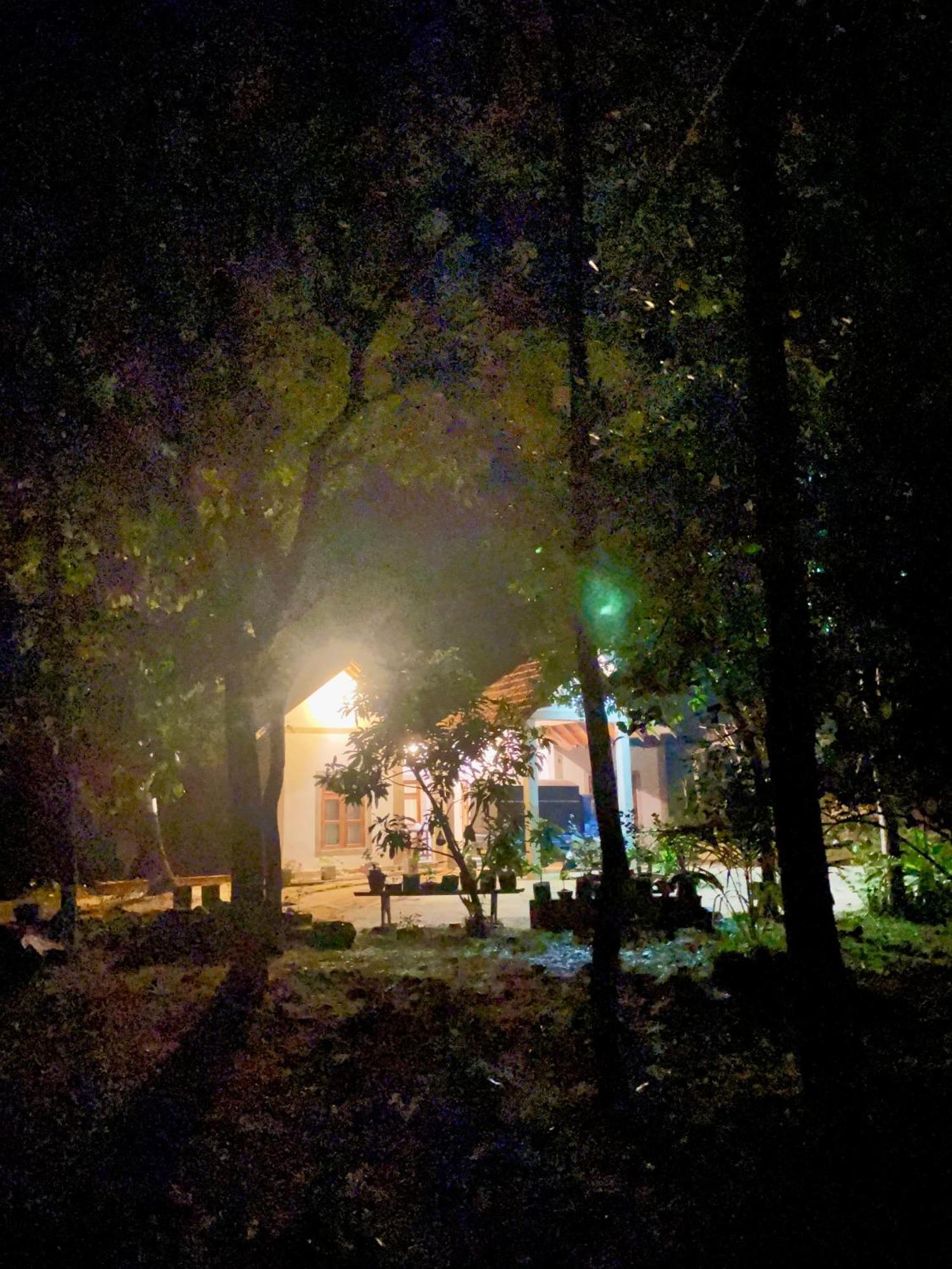 The Eco-Lodge 더 에코-롲지 Maho Buitenkant foto